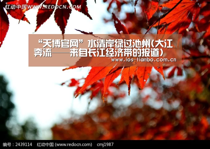 “天博官网”水清岸绿过池州(大江奔流——来自长江经济带的报道)(图2) 天博体育