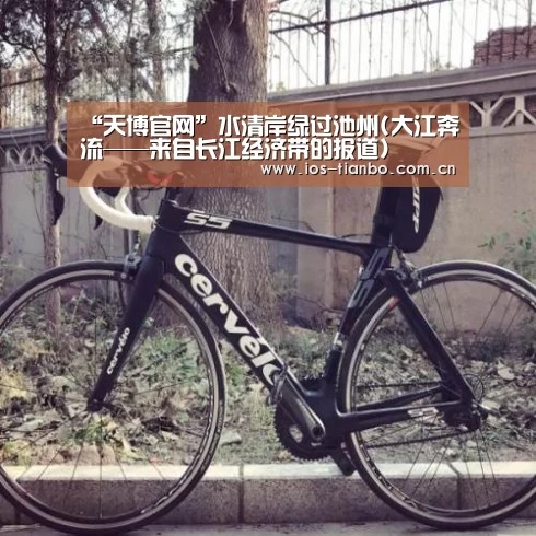 “天博官网”水清岸绿过池州(大江奔流——来自长江经济带的报道)(图3) 天博首页平台