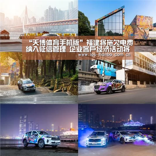 “天博体育手机版”福建将拖欠电费纳入征信管理 企业客户经济活动将受影响(图2) 天博首页平台