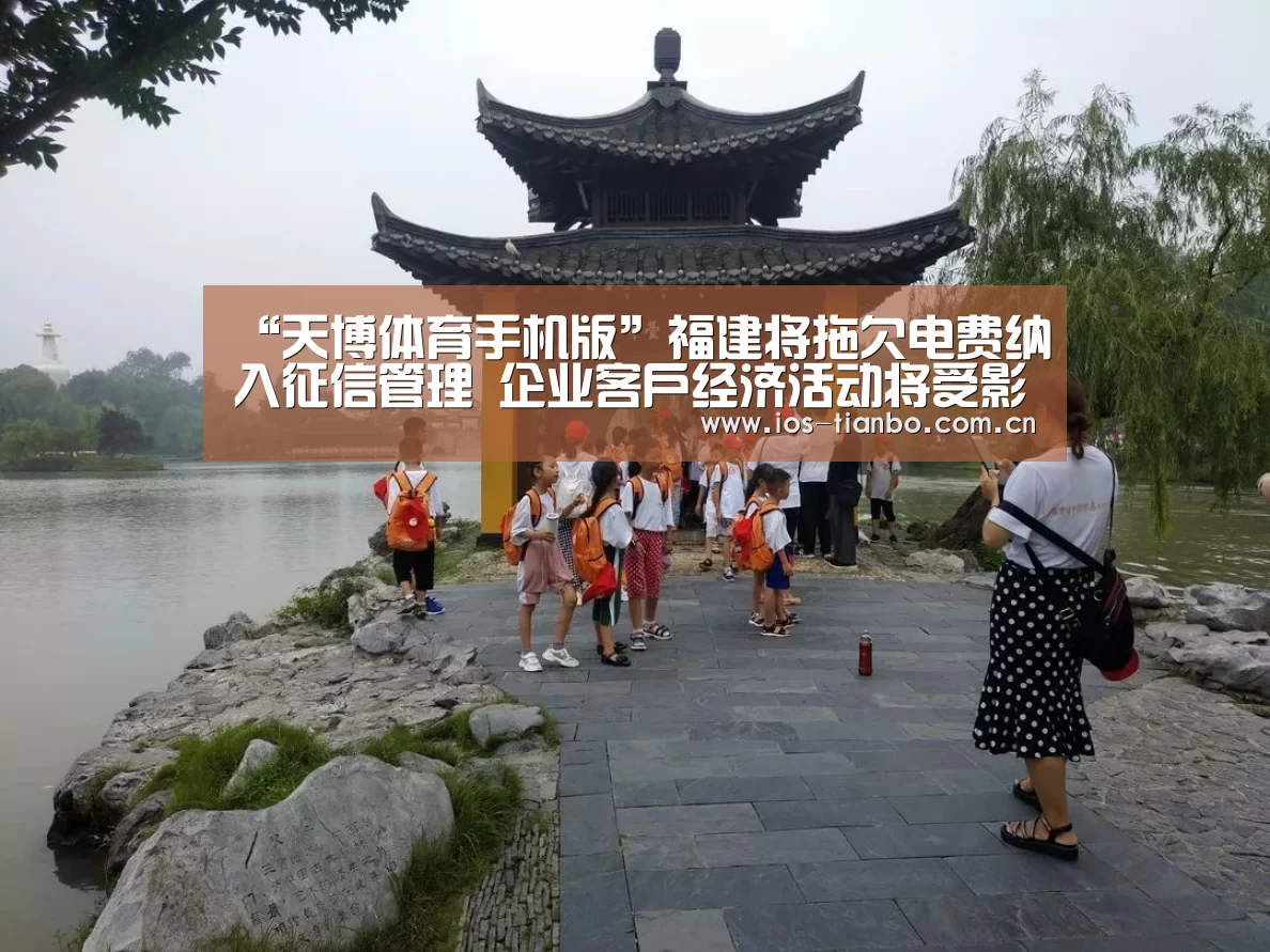 “天博体育手机版”福建将拖欠电费纳入征信管理 企业客户经济活动将受影响(图3) 天博首页平台