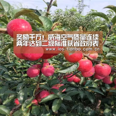 奖励千万!威海空气质量连续两年达到二级标准获省政府表扬:天博首页平台(图3) 天博体育手机版