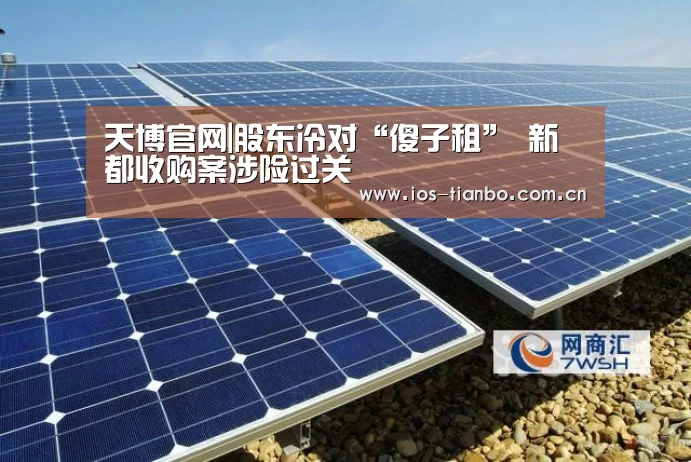 天博官网|股东冷对“傻子租” 新都收购案涉险过关(图3) 天博官网