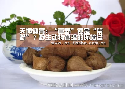 天博官网