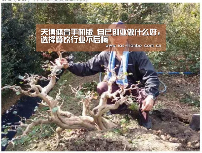 天博体育手机版_自已创业做什么好,选择餐饮行业不后悔(图2) 天博体育